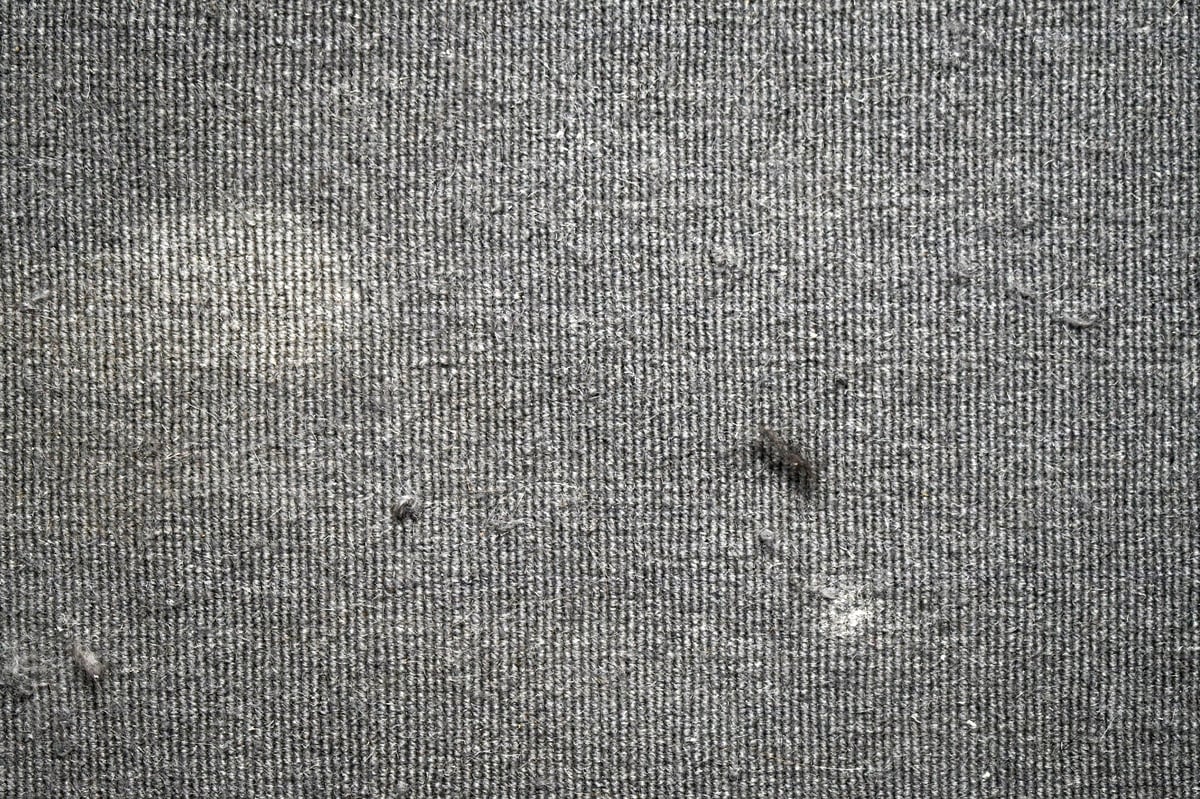 Dirty carpet before cleaning