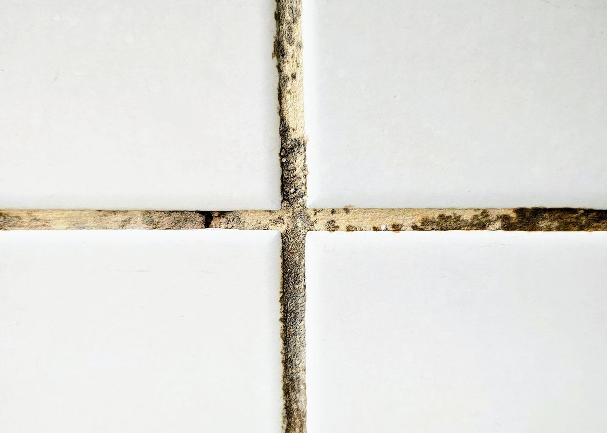 Detailed tile and grout cleaning in a bathroom